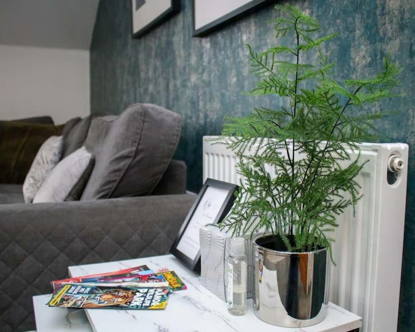Luxe Living Guest House-Sleeps 6-Private Parking-Free Wifi-Beach-City Swansea Exterior photo